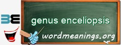WordMeaning blackboard for genus enceliopsis